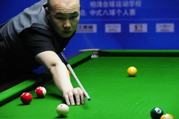 马的高度关 马的高度关