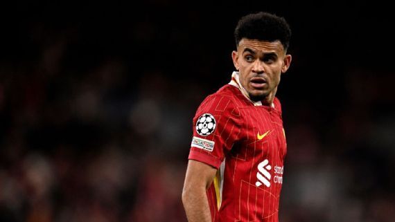 多地的茶园 多地的茶园