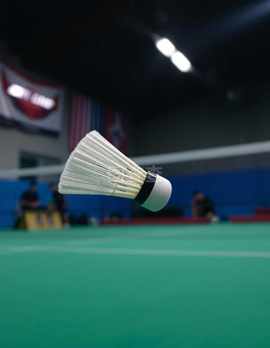 刷新了个人 刷新了个人